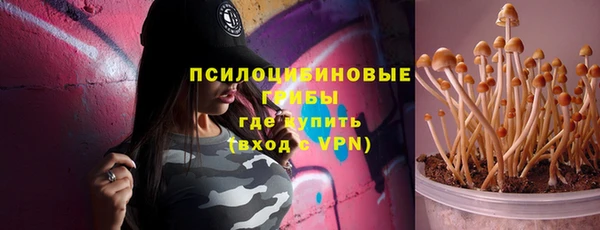 спиды Пересвет