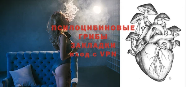 спиды Пересвет