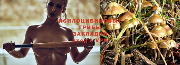 спиды Пересвет