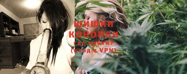 спиды Пересвет