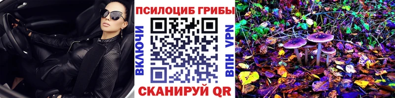 Купить где  Сосновоборск  Псилоцибиновые грибы Psilocybe 